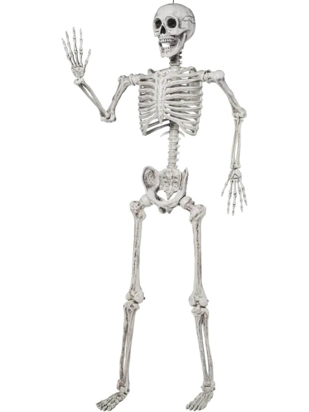 5.6 FT Life Size Posable Skeleton - Realistic Bones for Halloween Decor